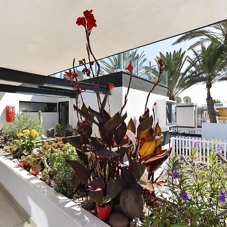 Maspalomas Beach Apartment Charca 1 Ngoại thất bức ảnh